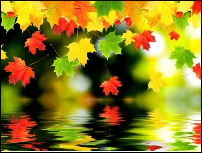 De quel groupe viennent certains fondateurs du groupe de rock Octobre ?