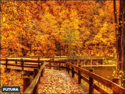 D'où vient le film "Octobre : dix jours qui ébranlèrent le monde " ?