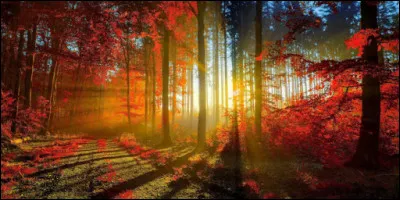 Quelle était la tendance politique de l'union littéraire Octobre ?