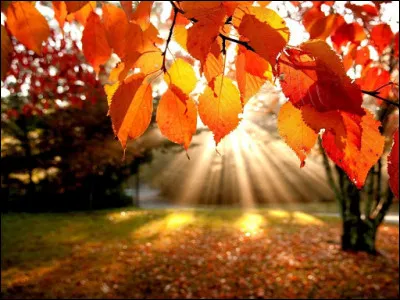 En quelle année le film québécois "Octobre" est-il sorti ?