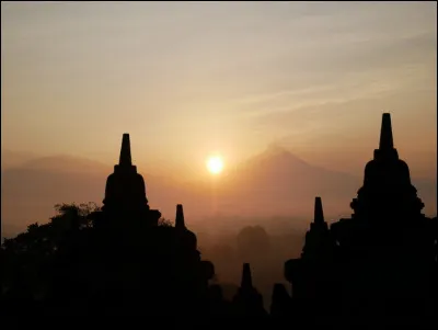 Quand le coq chante-t-il ?