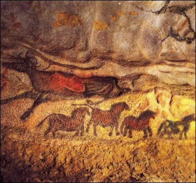 Quels ingrédients naturels utilisaient les hommes des cavernes pour peindre ou dessiner sur les parois ?
(Plusieurs réponses possibles)
