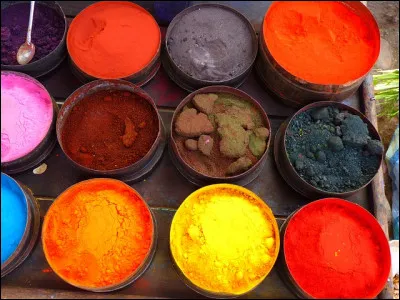 Toutes les plantes possèdent-elles des colorants ou des pigments qui permettent de teindre et d'écrire ?