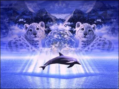 Quelle magie pr&eacute;f&egrave;res-tu ?