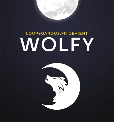 Qui a sorti une vidéo sur Wolfy qui a fait plus que deux millions de vues ?