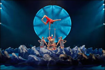 En quelle année a été créé le Cirque du Soleil ?