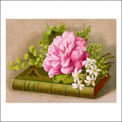 Mon 1er est un vieux loupMon 2e est une vall&eacute;eMon 3e : c'est un con !Mon tout est un po&egrave;me de :