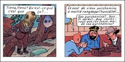 Haddock et Tintin sont déçus par leur découverte : et vous, qu'avez-vous découvert de plutôt suspect ?