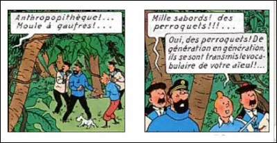 Même en pleine forêt tropicale, on arrive a trouver des choses parfaitement incongrues : lesquelles ?