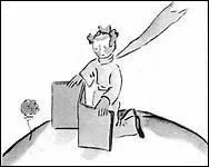 Pourquoi le Petit Prince se dsole-t-il de n'avoir pas couter la rose ?