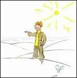 Quel est le septime astrode visit par le Petit Prince ?