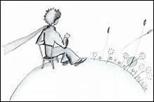 Pourquoi le Petit Prince est-il triste ?