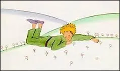 Pourquoi le Petit Prince est-il triste quand il trouve un champ de roses ?