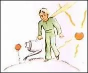 Que lui explique-t-il au sujet de sa rose ?