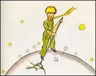 De quelle plante le narrateur pense-t-il que vient le Petit Prince ?