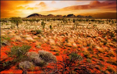 _______________ fois _______________.