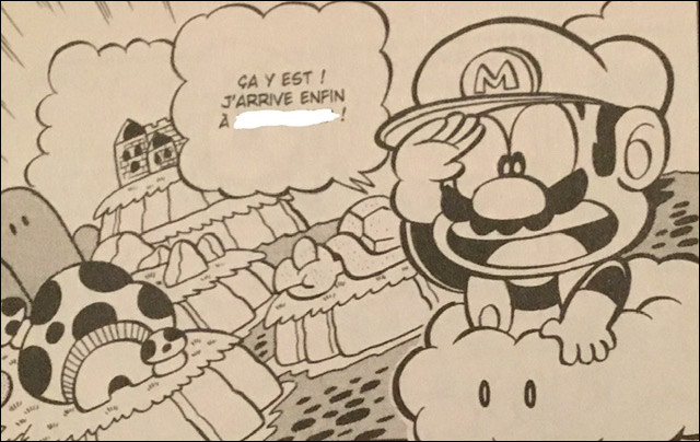 Ce jeu a l'air très familier pour les fans de Mario, comment s'appelle-t-il, déjà ?