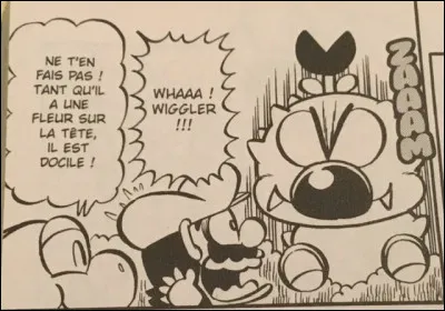 Si un Muncher se place sur la tête de Wiggler à la place d'une fleur, est-ce qu'il reste positif ?
