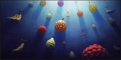 Quel fruit du démon Luffy a-t-il ingurgité ?