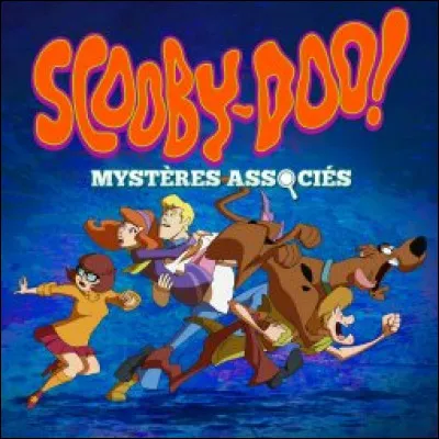 En quelle année sort la série "Mystère Associés" ?