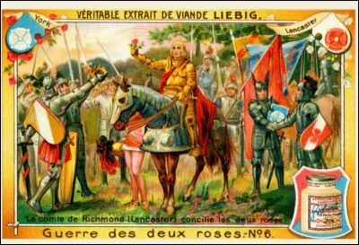 En quelle année la guerre des Deux-Roses en Angleterre a-t-elle pris fin ?