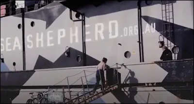 Connaissez-vous Sea Shepherd, non ? C'est tout simplement une organisation qui lutte contre le braconnage et la pêche illégale pour protéger des espèces en danger de disparition. Mais pour ça pas de manifestations, pas de banderoles ou de pétitions, simplement des actions. Sea Shepherd se considère elle-même comme des pirates pour le bien. 
Mais comment se nomme le capitaine de Sea Shepherd ?