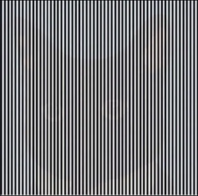 Vous n'avez jamais os&eacute; dire "non" &agrave; votre patron ?Voici un bon moyen de vous y exercer.Pour cette derni&egrave;re illusion, je vais vous demander de secouer la t&ecirc;te de la gauche vers la droite et vice-versa, &agrave; une cadence soutenue, tout en regardant l'illustration.C'est fait ?&Agrave; quelle queue correspond ce que vous avez vu ?Vous n'allez pas finir ce quiz en queue de poisson !