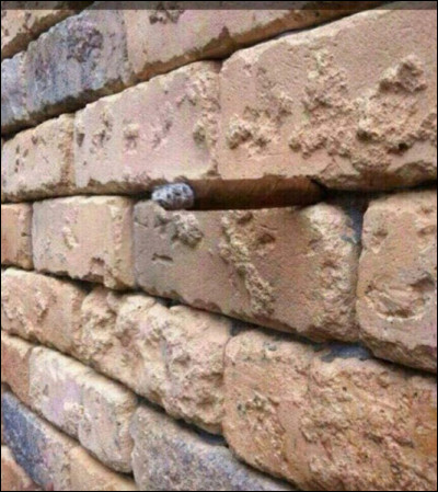 La première illusion "ne casse pas des briques" et est plutôt facile à démasquer. Un bon échauffement pour vos pupilles, donc.
Vous avez discerné l'objet caché dans ce mur de briques ?
Alors, qu'attendez-vous pour cliquer sur l'image qui lui correspond ?
