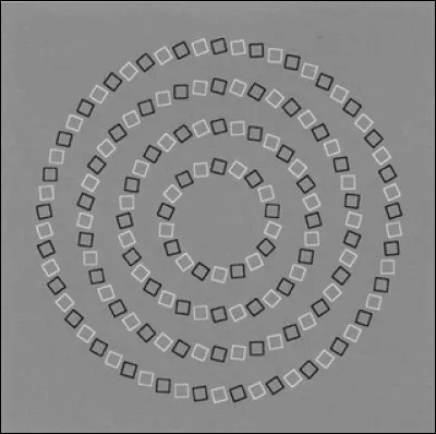 Cette image vous perturbe ?N'appelez pas votre ophtalmo tout de suite, votre &eacute;tat de sant&eacute; n'est peut-&ecirc;tre pas aussi d&eacute;sesp&eacute;r&eacute; qu'il n'y para&icirc;t.R&eacute;pondez d'abord &agrave; cette question : Que voyez-vous ?