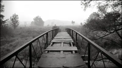 C'est une robe chez le chat comme chez le canard !