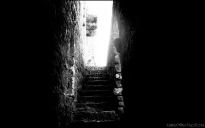 Il permet de corriger les fautes d'orthographe sur une copie !