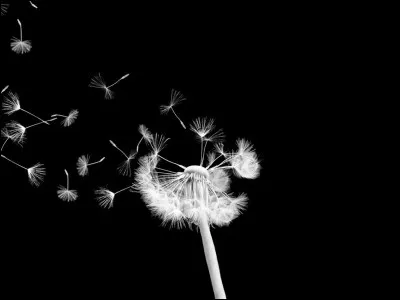 C'est celle que l'on obtient en additionnant toutes les couleurs !