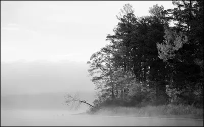Elle se traduit par "weiss" en allemand !