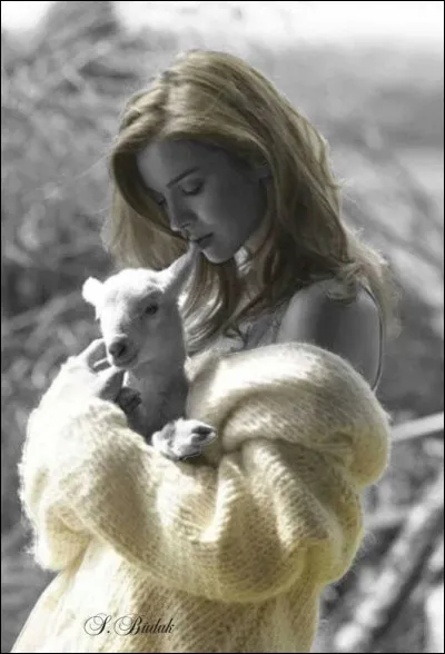 Quel est le père de l'agneau ?