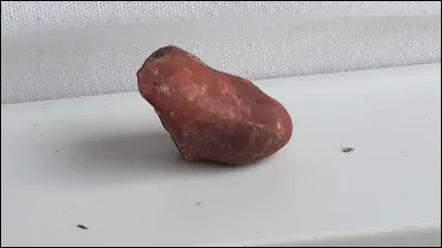 Motus et bouche cousue !