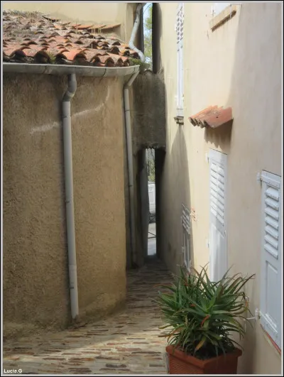 Où se trouve l'Androuno, considérée comme "la plus petite rue du monde" ?