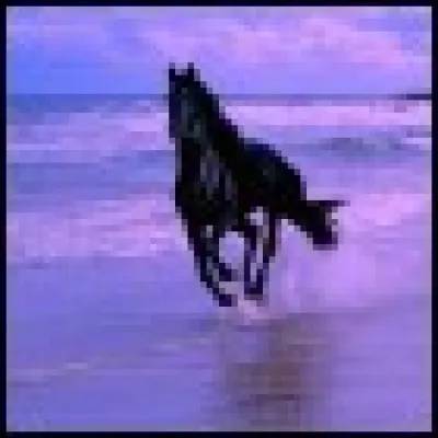 Quelle couleur préfères-tu ?