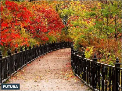 Qu'aimes-tu faire en automne ?