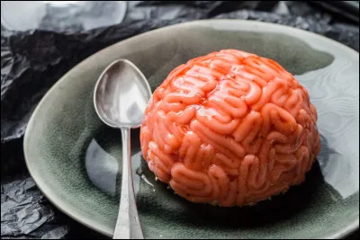 Quel être est le plus stupide, dit-on ?