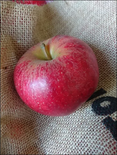 Ne s'oublie pas, c'est la...