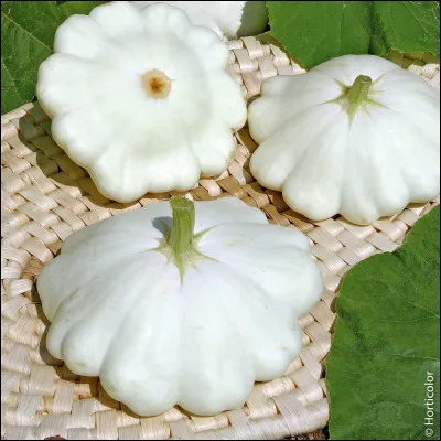 Qu'est-ce que c'est ?