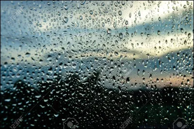 Quelle actrice donne la réplique à Charles Bronson dans le film "Le Passager de la pluie" ?