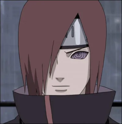 Que veut faire l'Akatsuki du point de vue de Nagato ?