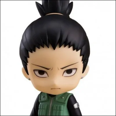 De quelle famille vient Shikamaru ?