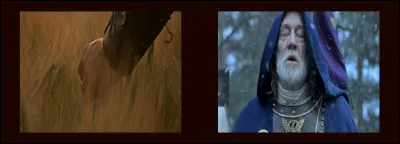 "Gladiator" (2000) > Il s'agit là de deux images se situant dans la même action : n'y a-t-il rien qui vous choque ?