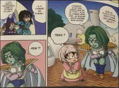 Y a-t-il des clins-d'il en rapport avec DBZ ?