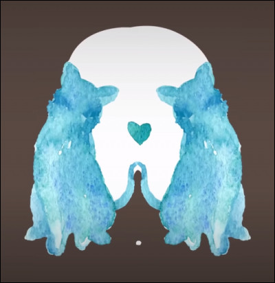 Que vois-tu sur cette image ?