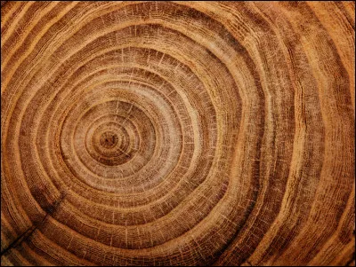 Quel pouvoir aimerais-tu posséder ?