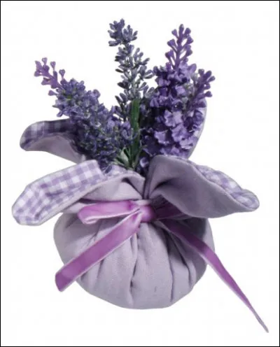 Que célèbrent les noces de lavande ?