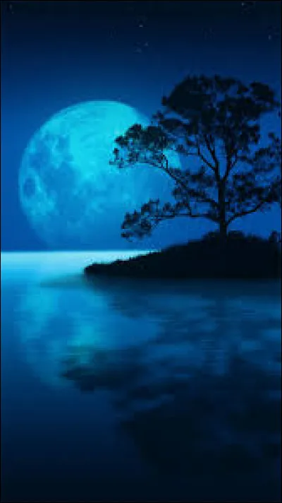 À qui doit-on la chanson "Nuit magique" ?